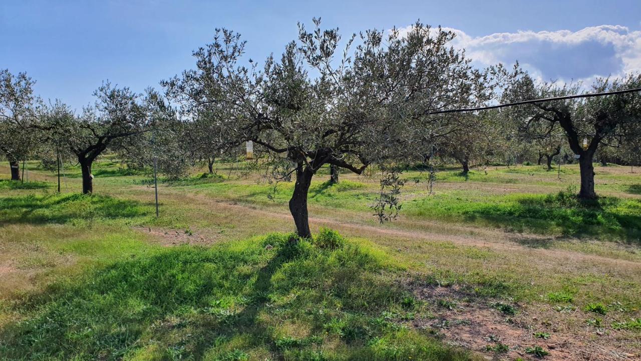 Agriturismo Corte Degli Ulivi Capoterra Buitenkant foto