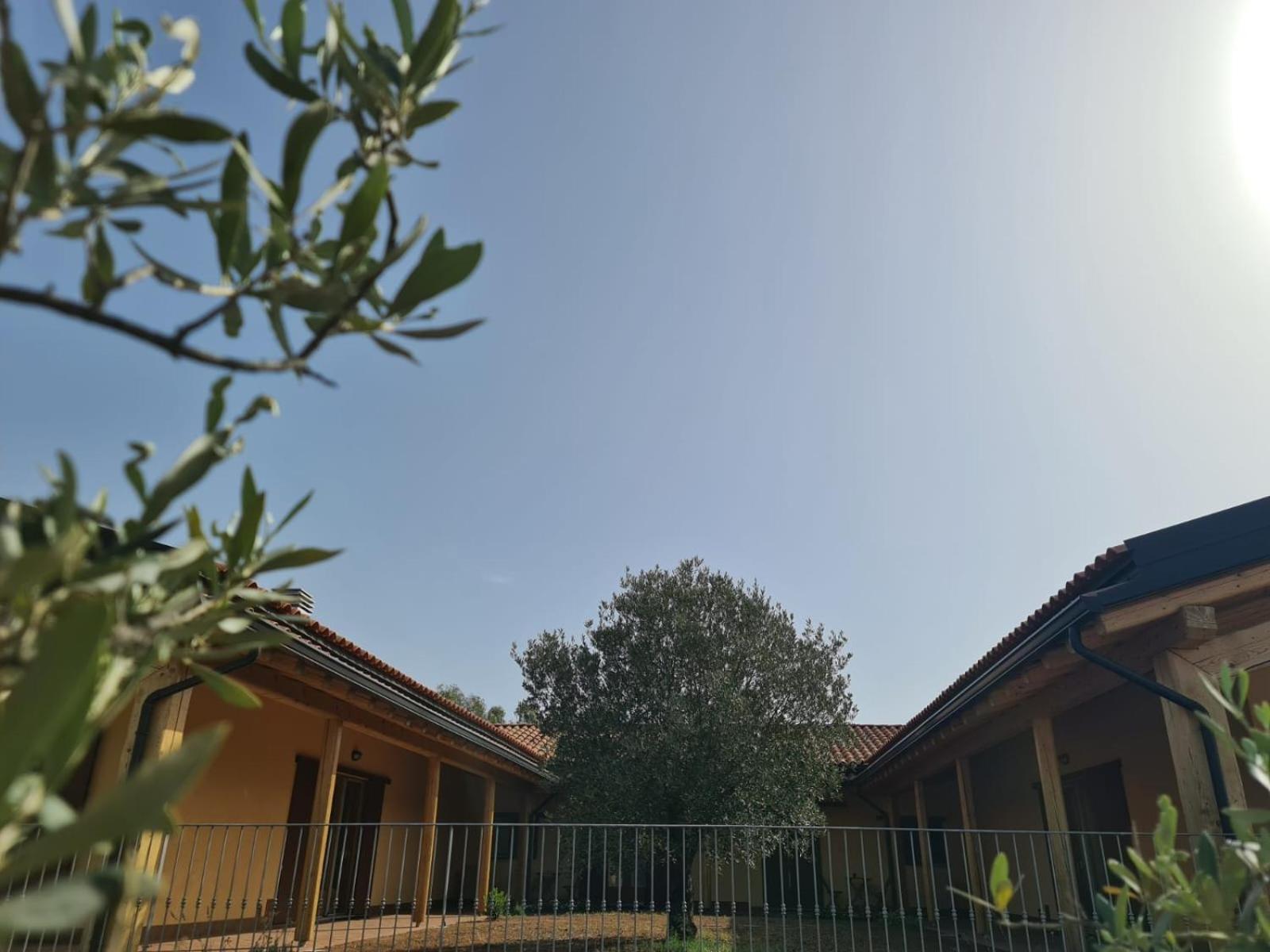 Agriturismo Corte Degli Ulivi Capoterra Buitenkant foto