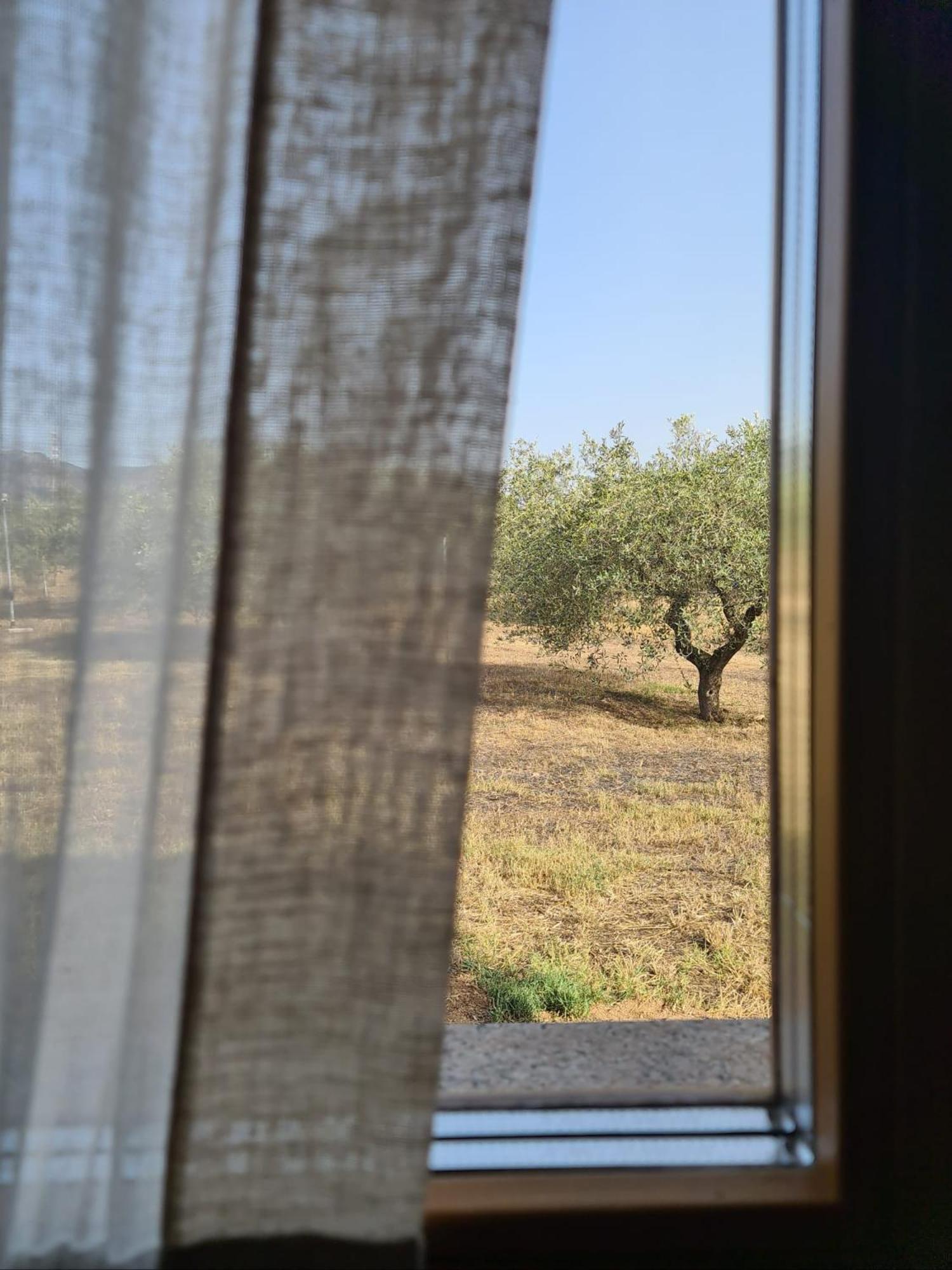 Agriturismo Corte Degli Ulivi Capoterra Buitenkant foto