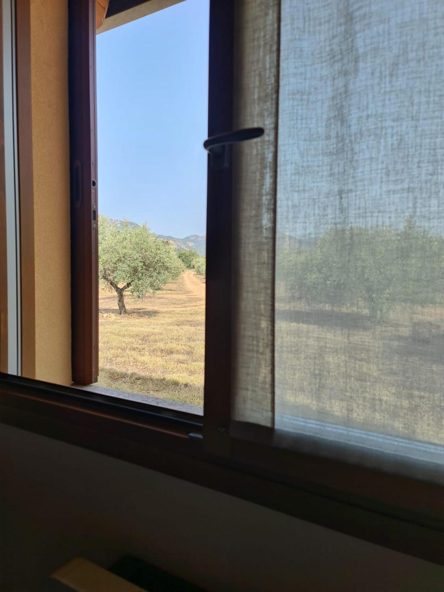 Agriturismo Corte Degli Ulivi Capoterra Buitenkant foto