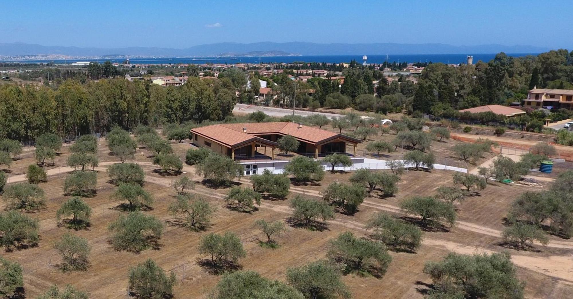 Agriturismo Corte Degli Ulivi Capoterra Buitenkant foto