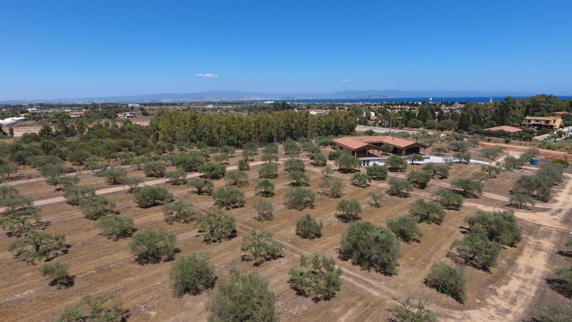 Agriturismo Corte Degli Ulivi Capoterra Buitenkant foto